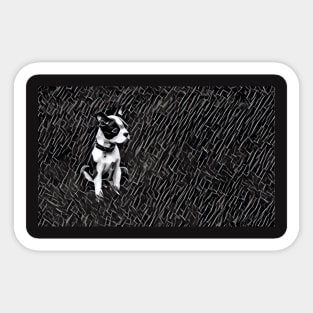 Puppy in Field Sticker